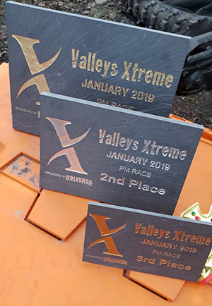 Plaques